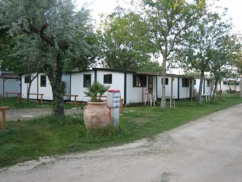 zobacz camping - zdjęcie 25