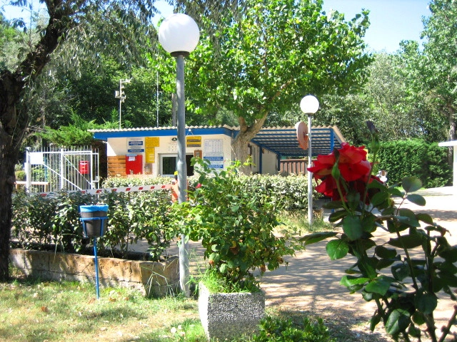 zobacz camping - zdjęcie 13