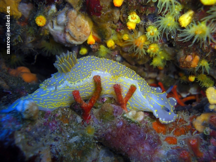 Camping Reale - zdjęcie 3