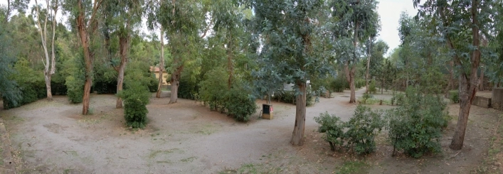 Camping Reale - zdjęcie 1