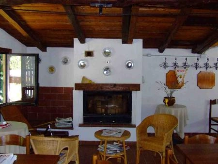 zobacz camping - zdjęcie 31