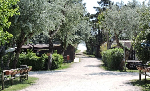 zobacz camping - zdjęcie 34