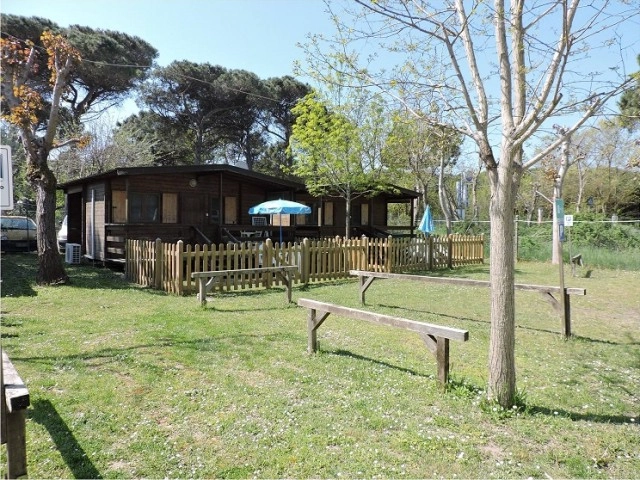 zobacz camping - zdjęcie 32