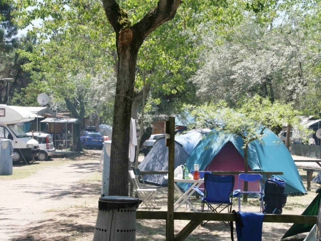 zobacz camping - zdjęcie 29