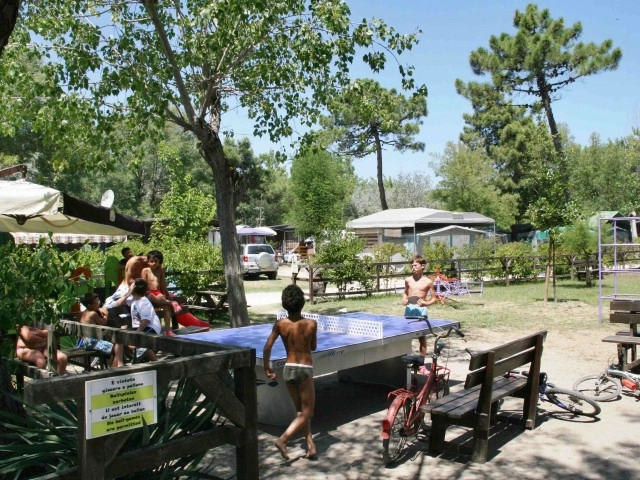 zobacz camping - zdjęcie 21