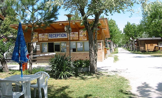 zobacz camping - zdjęcie 13