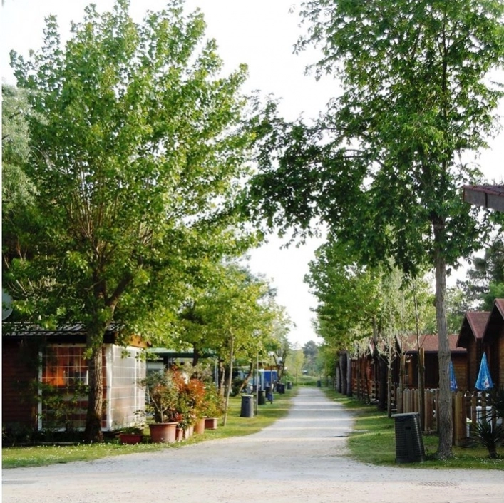 zobacz camping - zdjęcie 10