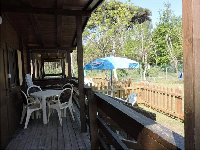 zobacz camping - zdjęcie 7