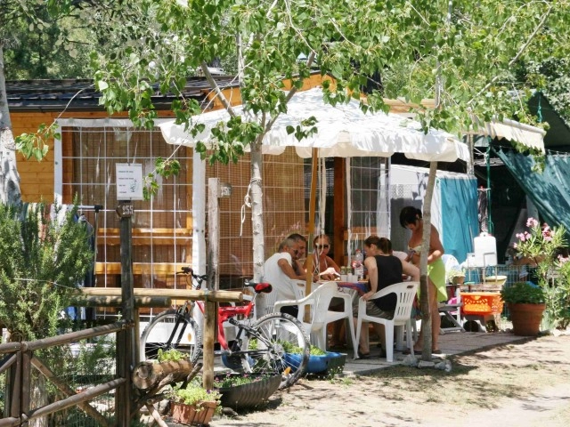 zobacz camping - zdjęcie 2