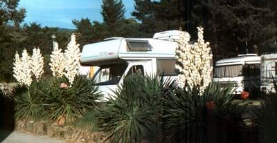 zobacz camping - zdjęcie 4