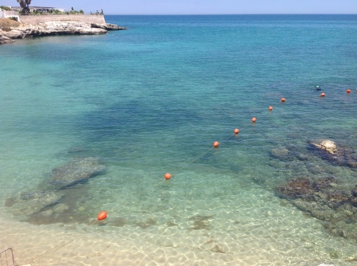 zobacz camping - zdjęcie 33