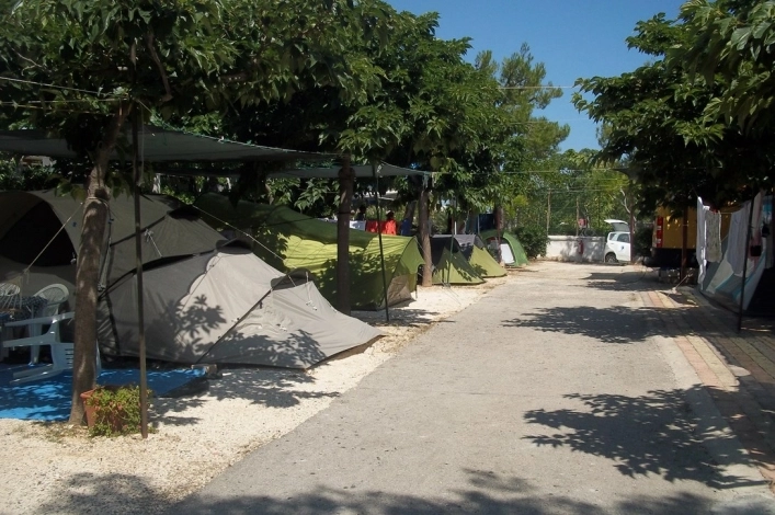 zobacz camping - zdjęcie 25