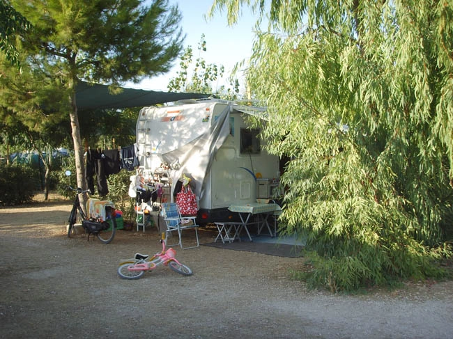 zobacz camping - zdjęcie 22