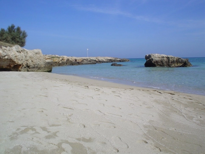 zobacz camping - zdjęcie 17