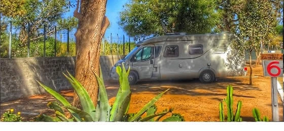 zobacz camping - zdjęcie 6