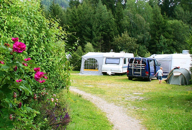 zobacz camping - zdjęcie 18