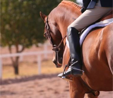 zobacz camping - zdjęcie 27