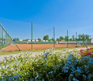 zobacz camping - zdjęcie 16