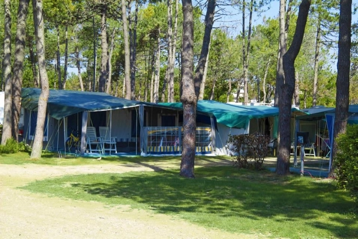 zobacz camping - zdjęcie 6