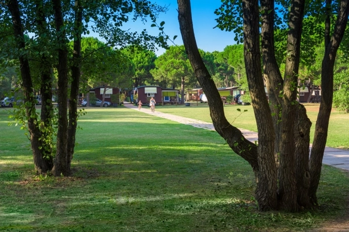 Camping Residence Il Tridente - zdjęcie 3