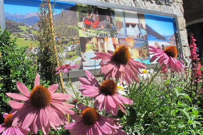 zobacz camping - zdjęcie 9