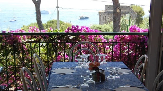 zobacz camping - zdjęcie 18