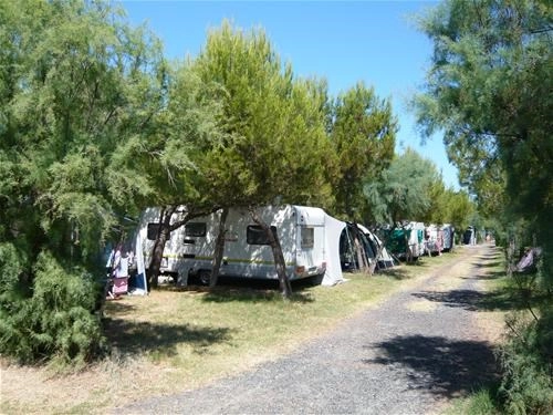 zobacz camping - zdjęcie 19