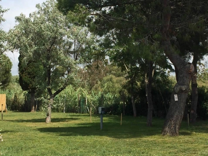 zobacz camping - zdjęcie 11