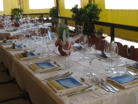 zobacz camping - zdjęcie 17