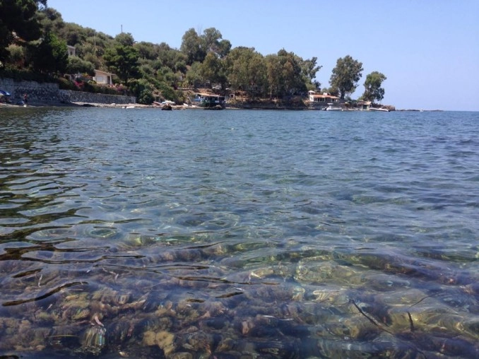 zobacz camping - zdjęcie 14