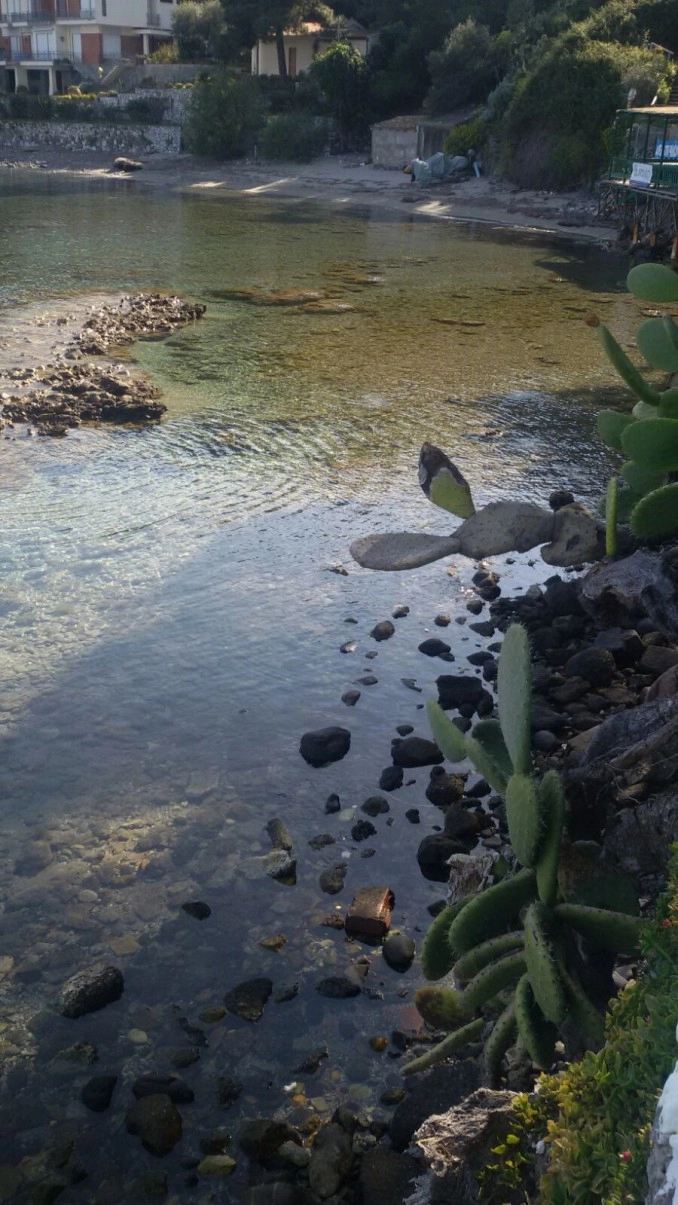 zobacz camping - zdjęcie 3