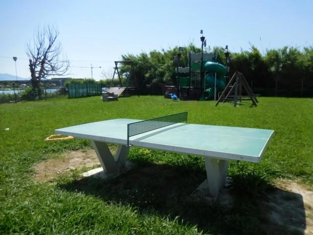 zobacz camping - zdjęcie 20