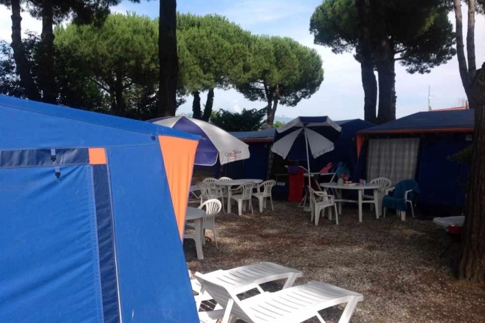 zobacz camping - zdjęcie 16