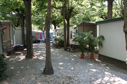 zobacz camping - zdjęcie 14