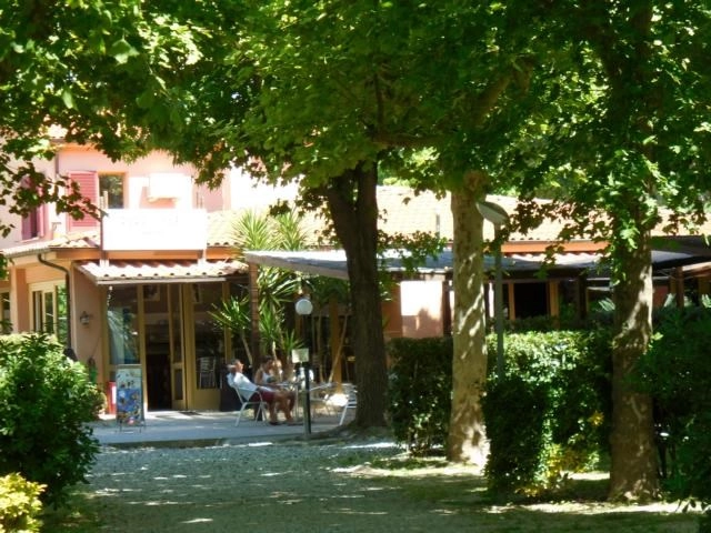 zobacz camping - zdjęcie 12