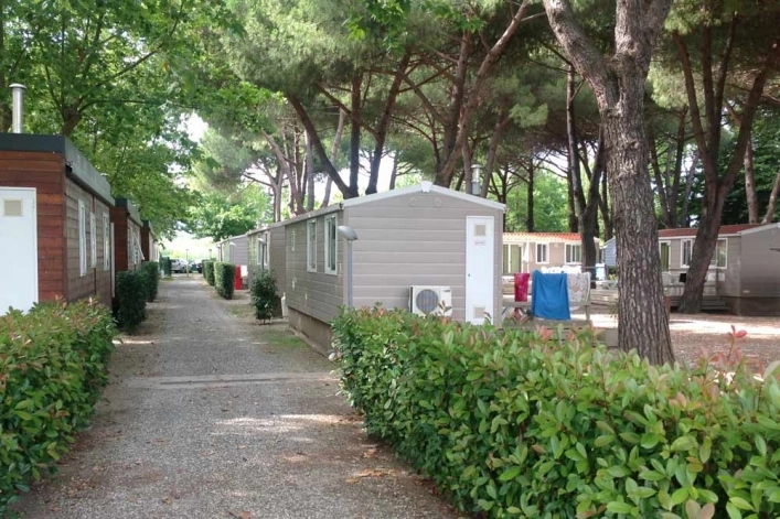 zobacz camping - zdjęcie 11