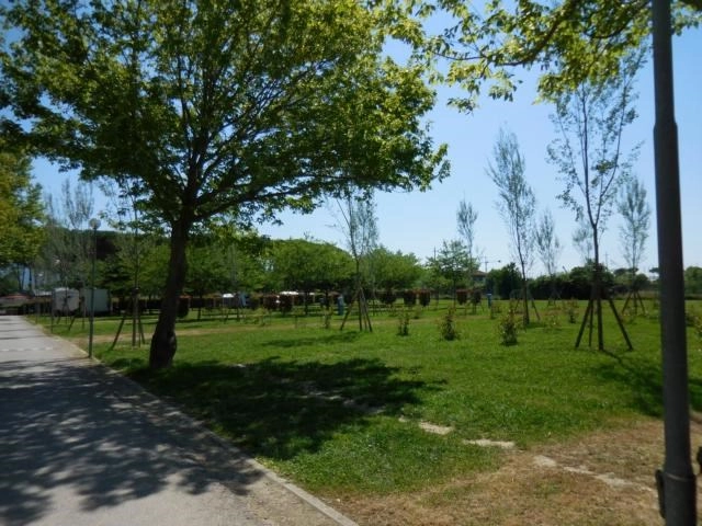 zobacz camping - zdjęcie 9