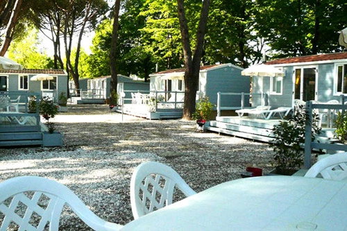 zobacz camping - zdjęcie 8