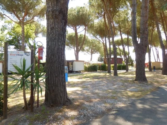 zobacz camping - zdjęcie 3