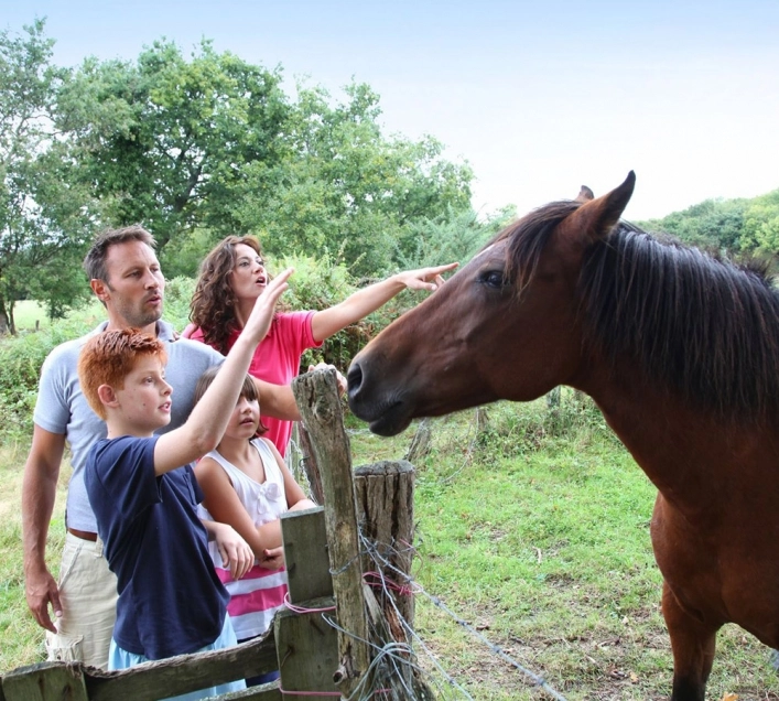 Camping Riviera - zdjęcie 3