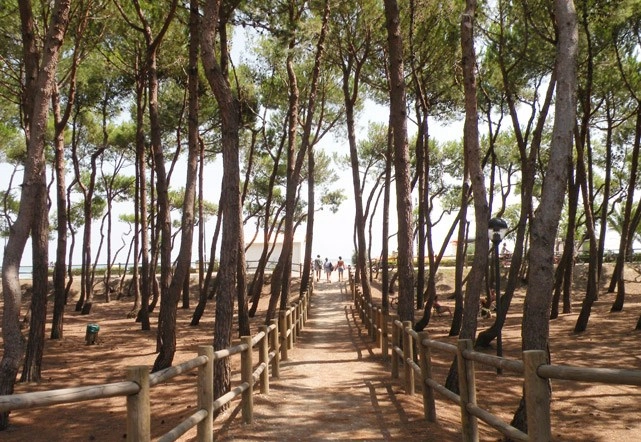 Camping Roma - zdjęcie 1