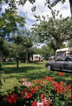 zobacz camping - zdjęcie 14