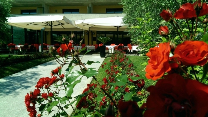 zobacz camping - zdjęcie 9