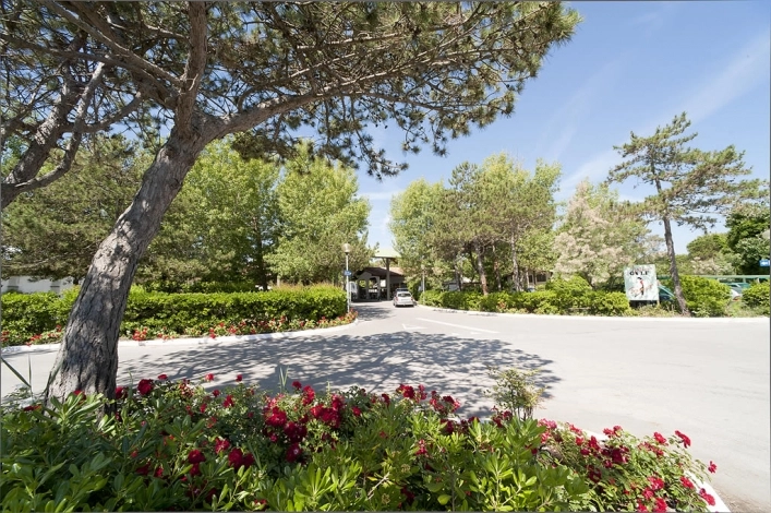 zobacz camping - zdjęcie 7