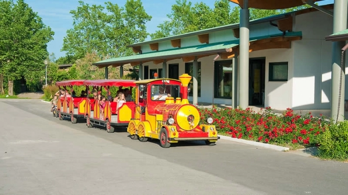 Camping Rosapineta Nord - zdjęcie 2