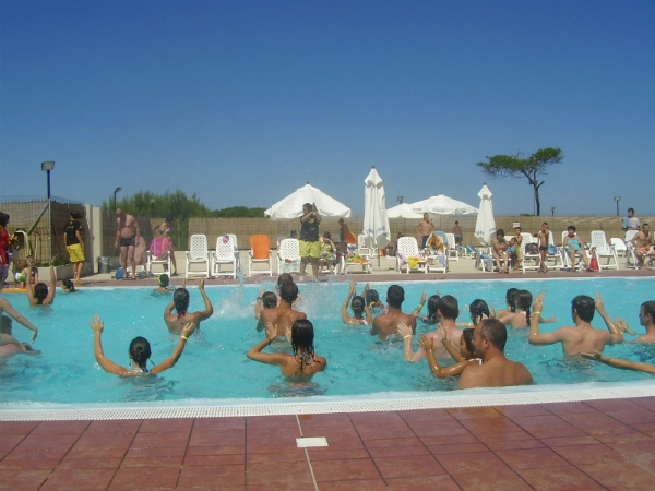 zobacz camping - zdjęcie 25