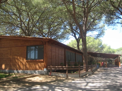 zobacz camping - zdjęcie 15