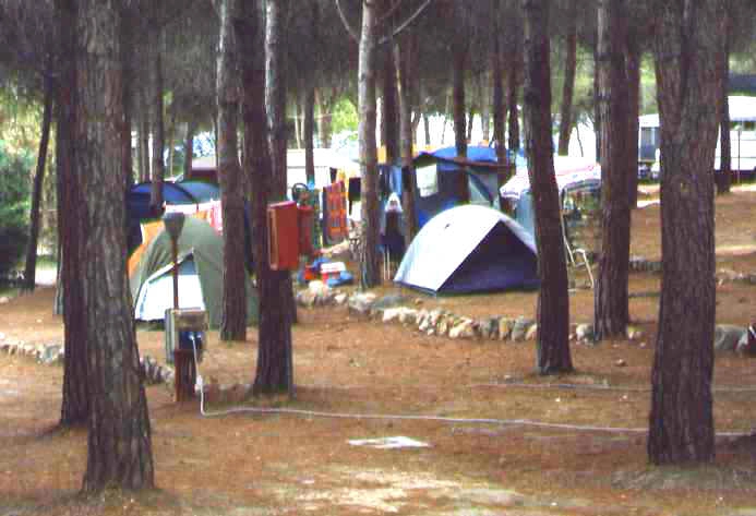zobacz camping - zdjęcie 12