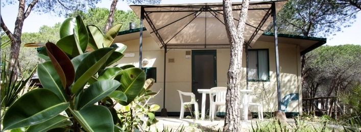 zobacz camping - zdjęcie 11