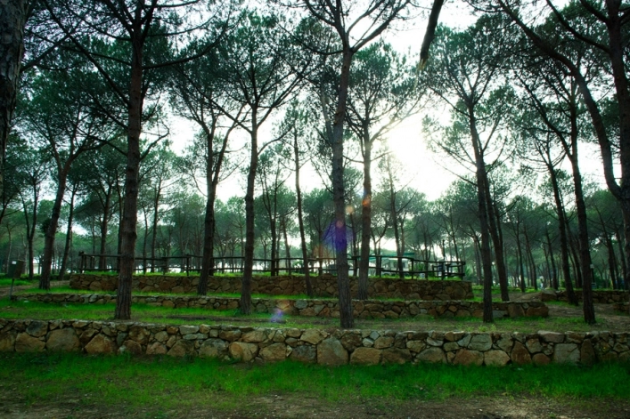 zobacz camping - zdjęcie 10